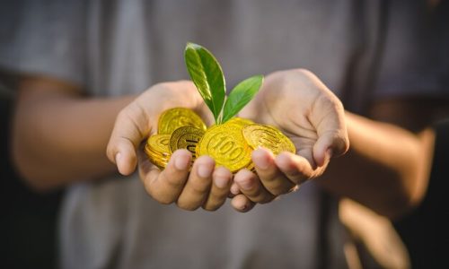 plant-growing-up-hand-holding-gold-coins-nature-background_38810-8449